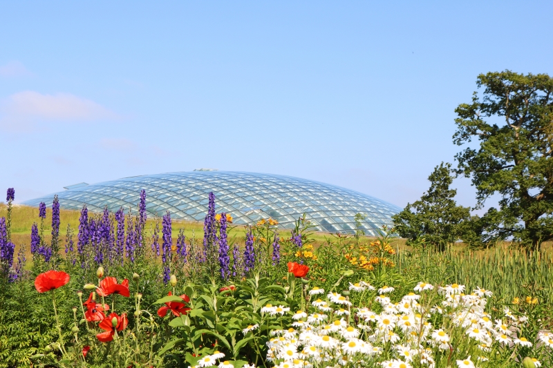 National Botanic Garden of Wales